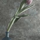 All Alone