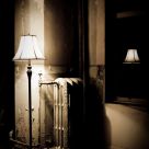 The Radiator