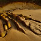 Dragon's claws