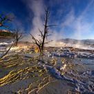 Mammoth Hot Springs - Catching Rays
