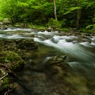 Laurel Creek