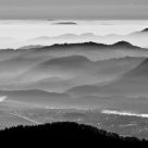 Morning mist