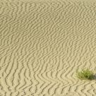 Undulations