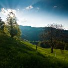 Morning sun