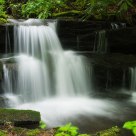 Waterfall in the Globe Forest