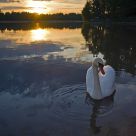 Evening swim