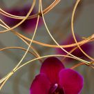 Flowers of bamboo sticks