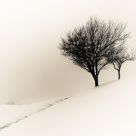In my dreams