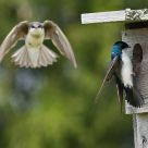 Holding Pattern