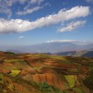 The Red Land Region