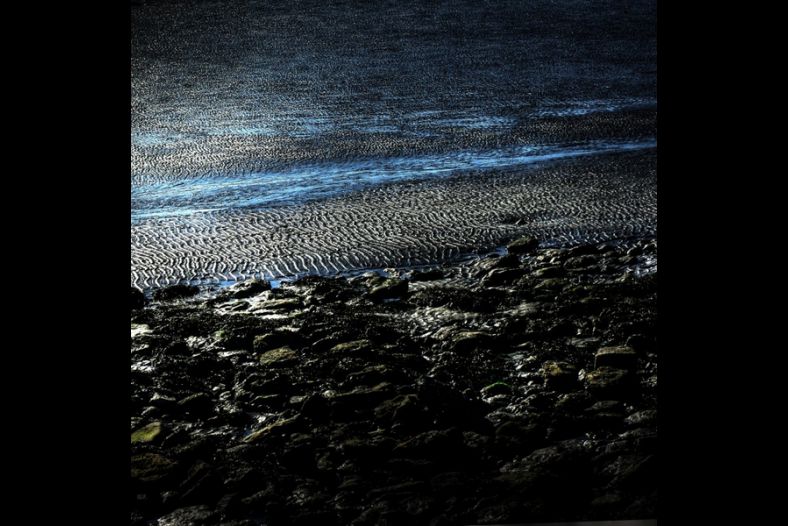 Westerschelde