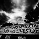 In Loving Memory