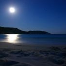 Moonlight Ocean