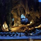 The Natural Cathedral
