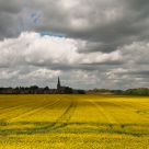 Yellow Sea