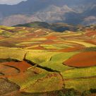 The Red Land Region