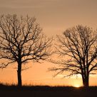 Waiting For The Sun