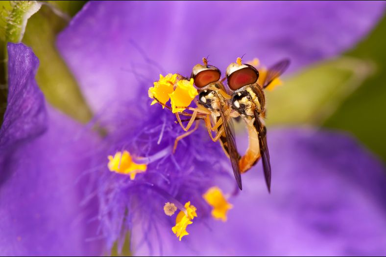 Togetherness