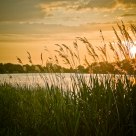 Werdersee