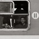International Photographer`s Greeting