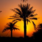 Sunset in Dubai Desert