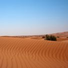 Desert in United Arab Emirats