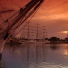Tall Ships