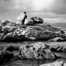 Rocky Landscape