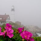 Ghost of Portland Head Light