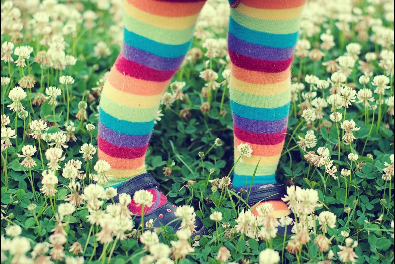 Clover rainbow