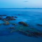 Land and Sea