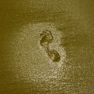 Golden Footprint