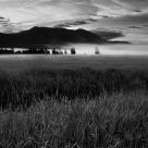 Misty Clouds