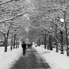 Copley in the Winter