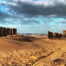 Rising Tide
