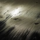 footprints in sand