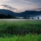 Morning Mist