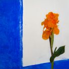 Orange and blue