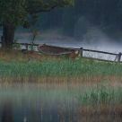 Mornin' fog