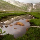 Reflections at Summit Lake