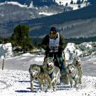 Dog Sled Racing