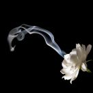 Smoke Art