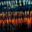 Everything stops to watch the sunset