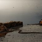 Early morning