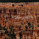 Hoodoo's