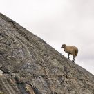 Climbing