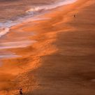 By the sea