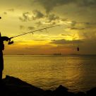 Fishermans friend