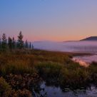 Morning mist