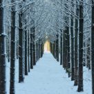 Pathway